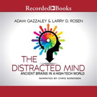 The_Distracted_Mind